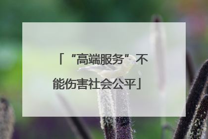 “高端服务”不能伤害社会公平