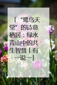 “鹭鸟天堂”的诗意栖居：绿水青山中的共生智慧丨有一说一