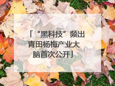 “黑科技”频出 青田杨梅产业大脑首次公开