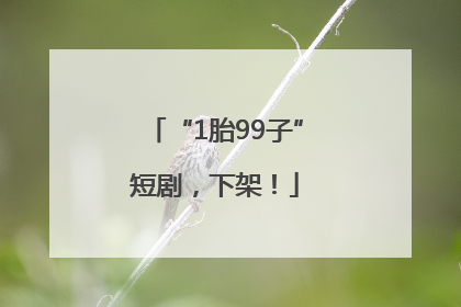 “1胎99子”短剧，下架！