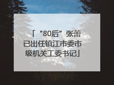 “80后”张蕾已出任镇江市委市级机关工委书记