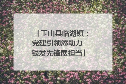玉山县临湖镇：党建引领添助力 银发先锋展担当