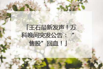 王石最新发声！万科晚间突发公告：“售股”回血！