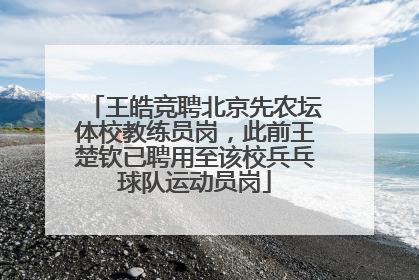 王皓竞聘北京先农坛体校教练员岗，此前王楚钦已聘用至该校兵乓球队运动员岗