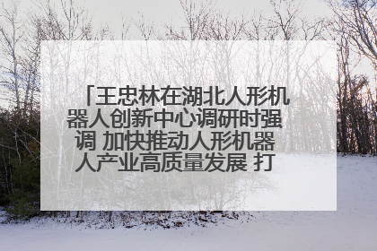 王忠林在湖北人形机器人创新中心调研时强调 加快推动人形机器人产业高质量发展 打造具有全国影响力的研发创新基地