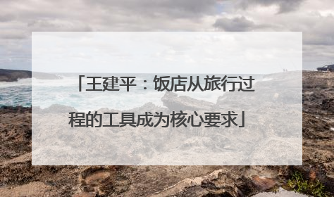 王建平：饭店从旅行过程的工具成为核心要求