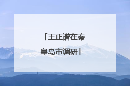 王正谱在秦皇岛市调研