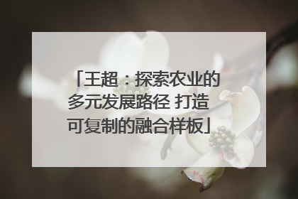 王超：探索农业的多元发展路径 打造可复制的融合样板