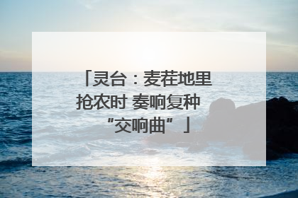 灵台：麦茬地里抢农时 奏响复种“交响曲”