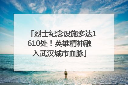 烈士纪念设施多达1610处！英雄精神融入武汉城市血脉