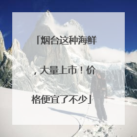烟台这种海鲜，大量上市！价格便宜了不少