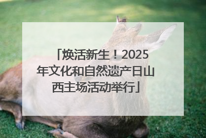 焕活新生！2025年文化和自然遗产日山西主场活动举行