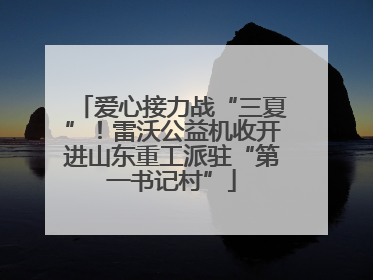 爱心接力战“三夏”！雷沃公益机收开进山东重工派驻“第一书记村”