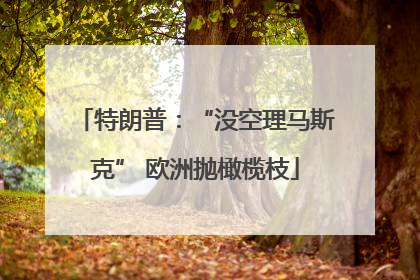 特朗普：“没空理马斯克” 欧洲抛橄榄枝