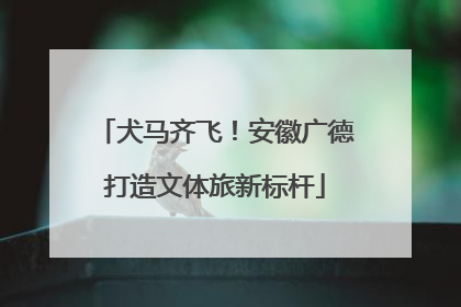 犬马齐飞！安徽广德打造文体旅新标杆
