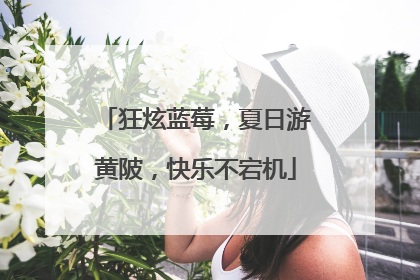 狂炫蓝莓，夏日游黄陂，快乐不宕机