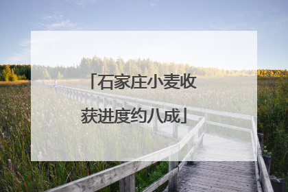 石家庄小麦收获进度约八成