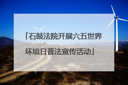 石鼓法院开展六五世界环境日普法宣传活动