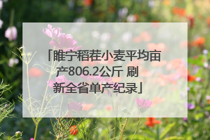 睢宁稻茬小麦平均亩产806.2公斤 刷新全省单产纪录