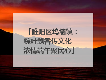 睢阳区坞墙镇：粽叶飘香传文化 浓情端午聚民心
