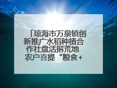 琼海市万泉镇创新推广水稻种植合作社盘活撂荒地 农户喜提“粮食+钞票”分红