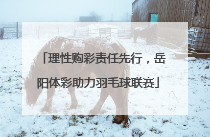 理性购彩责任先行，岳阳体彩助力羽毛球联赛