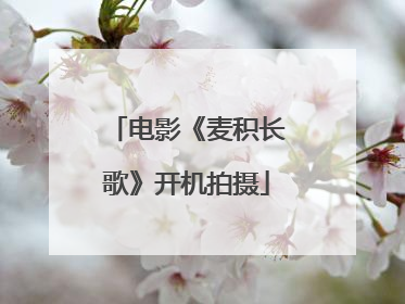 电影《麦积长歌》开机拍摄