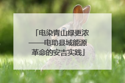 电染青山绿更浓——电助县域能源革命的安吉实践