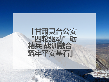 甘肃灵台公安“四轮驱动”砺精兵 战训融合筑牢平安基石