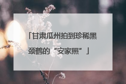 甘肃瓜州拍到珍稀黑颈鹤的“安家照”