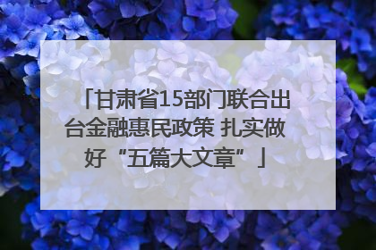 甘肃省15部门联合出台金融惠民政策 扎实做好“五篇大文章”
