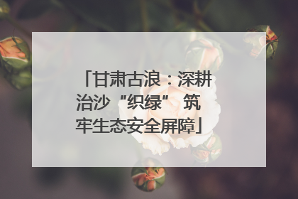 甘肃古浪：深耕治沙“织绿” 筑牢生态安全屏障