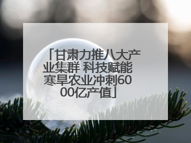 甘肃力推八大产业集群 科技赋能寒旱农业冲刺6000亿产值