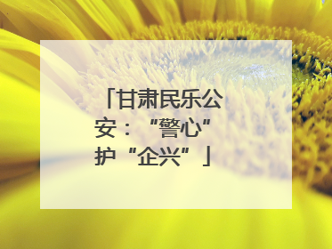 甘肃民乐公安：“警心”护“企兴”