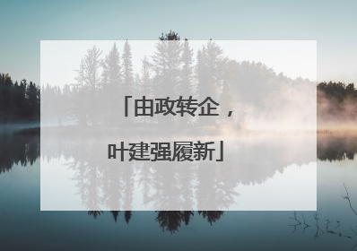 由政转企，叶建强履新