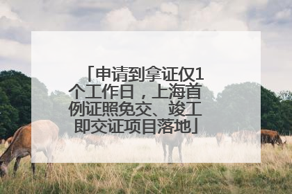 申请到拿证仅1个工作日，上海首例证照免交、竣工即交证项目落地