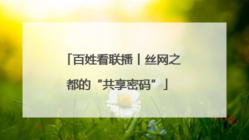 百姓看联播丨丝网之都的“共享密码”