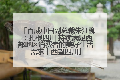 百威中国副总裁朱江柳：扎根四川 持续满足西部地区消费者的美好生活需求丨西望四川