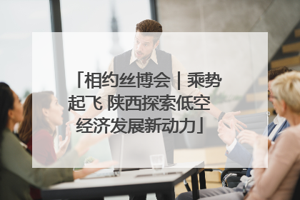 相约丝博会｜乘势起飞 陕西探索低空经济发展新动力