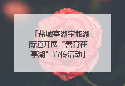 盐城亭湖宝瓶湖街道开展“善育在亭湖”宣传活动