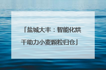 盐城大丰：智能化烘干助力小麦颗粒归仓