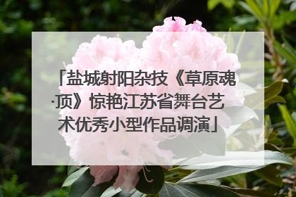盐城射阳杂技《草原魂·顶》惊艳江苏省舞台艺术优秀小型作品调演