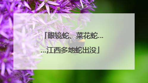 眼镜蛇、菜花蛇……江西多地蛇出没