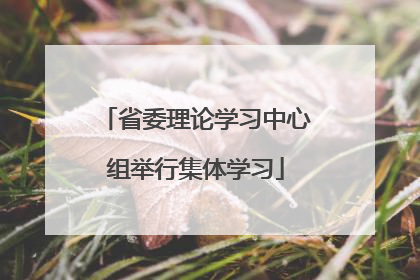 省委理论学习中心组举行集体学习