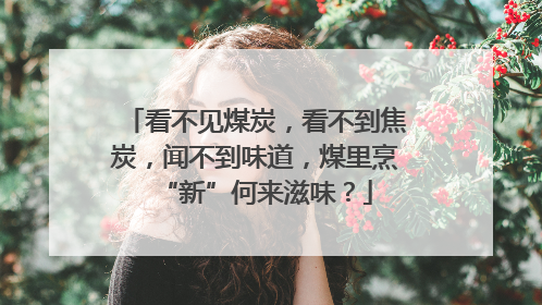 看不见煤炭，看不到焦炭，闻不到味道，煤里烹“新”何来滋味？