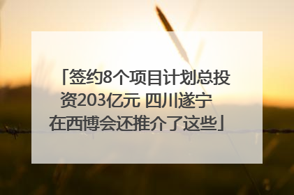 签约8个项目计划总投资203亿元 四川遂宁在西博会还推介了这些