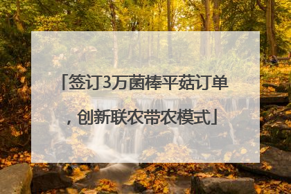 签订3万菌棒平菇订单，创新联农带农模式
