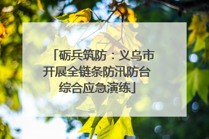 砺兵筑防：义乌市开展全链条防汛防台综合应急演练