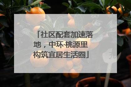 社区配套加速落地，中环·桃源里构筑宜居生活圈