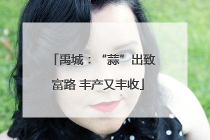 禹城：“蒜”出致富路 丰产又丰收